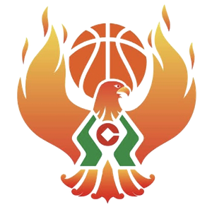 https://img.shlejing.com/img/basketball/team/09b49d34027e0409a4de3295f8c71a2d.png